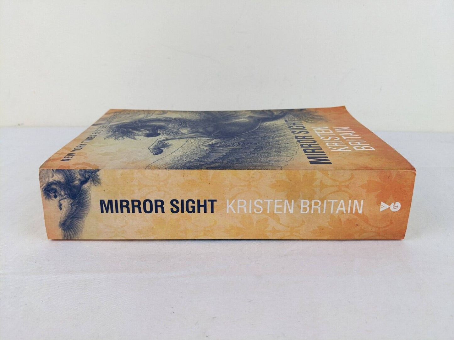 Mirror sight by Kristen Britain 2014 Green Rider