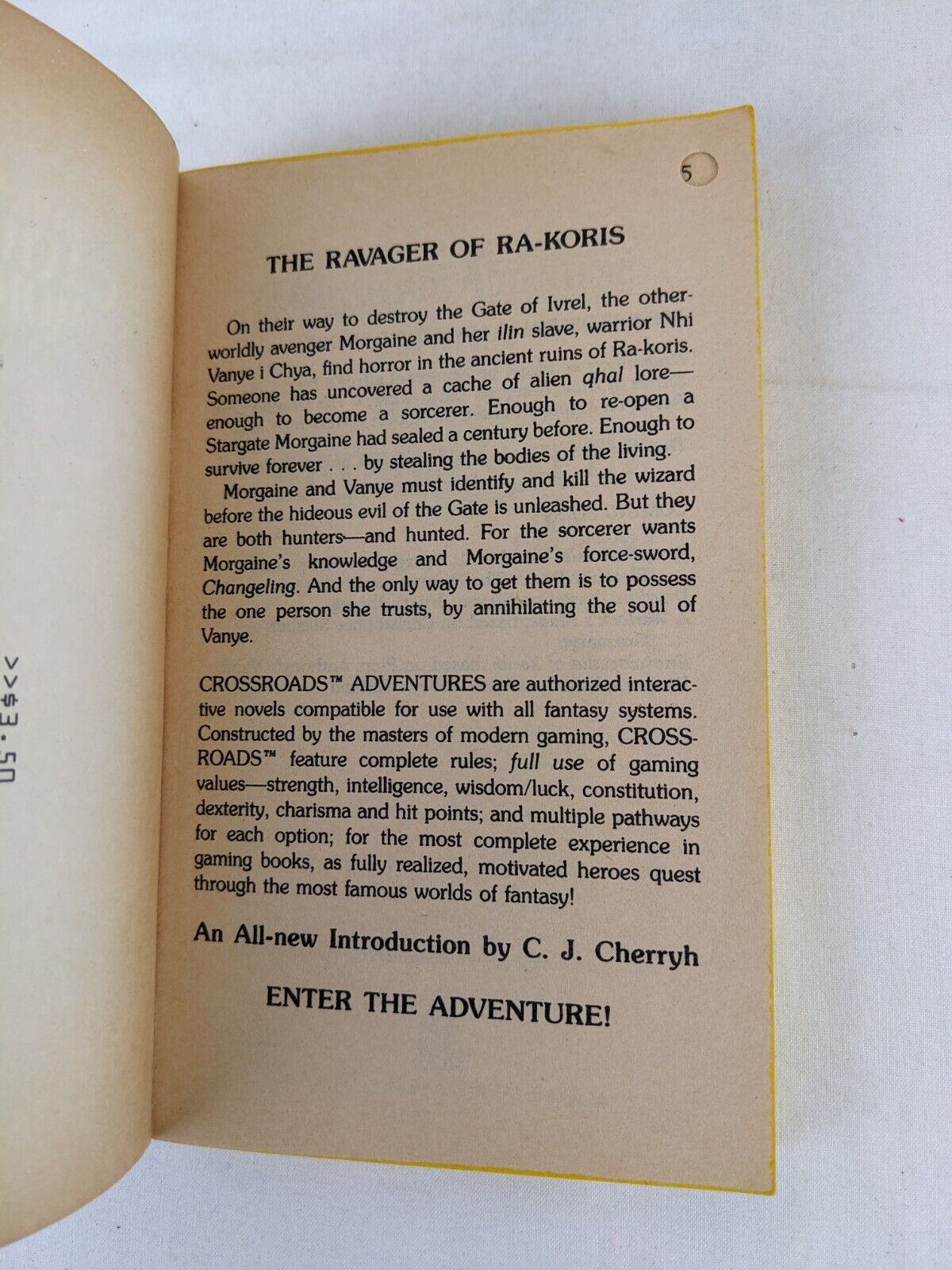 A crossroads adventure: The Witchfire of Leth by Dan Greenberg 1987