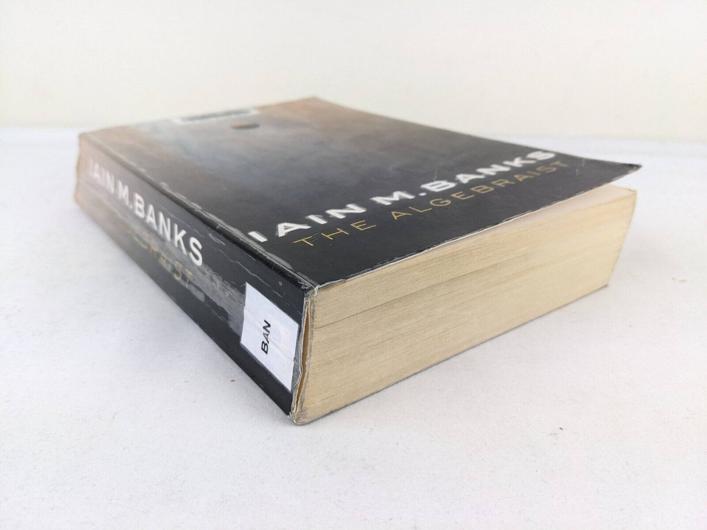 The Algebraist by Iain M. Banks 2004 (Ex-library book)