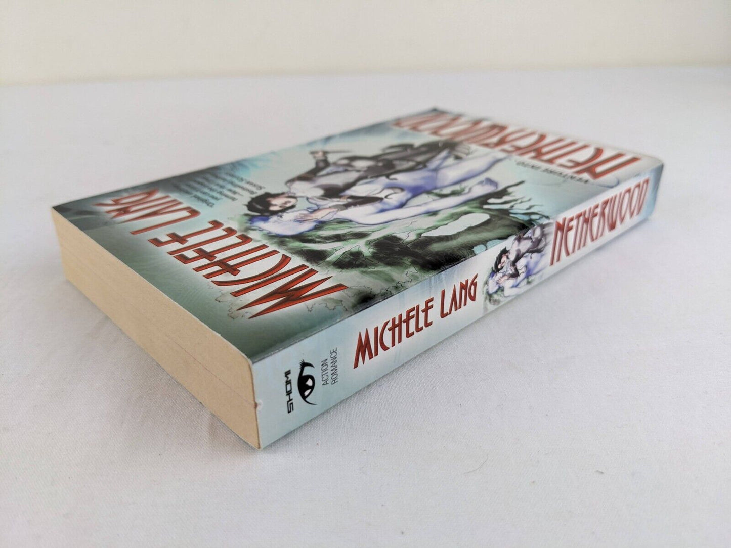 Netherwood by Michele Lang 2008