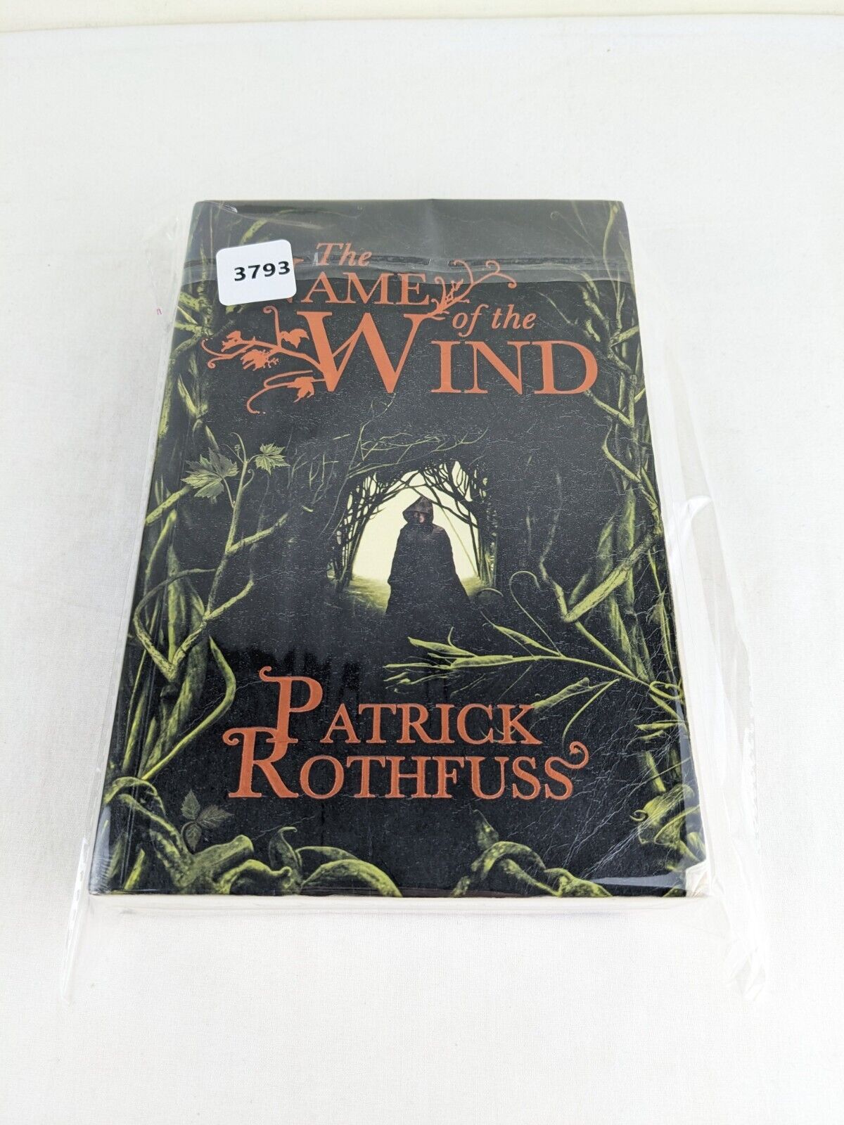 The name of the wind by Patrick Rothfuss 2007 Kingkiller chronicle