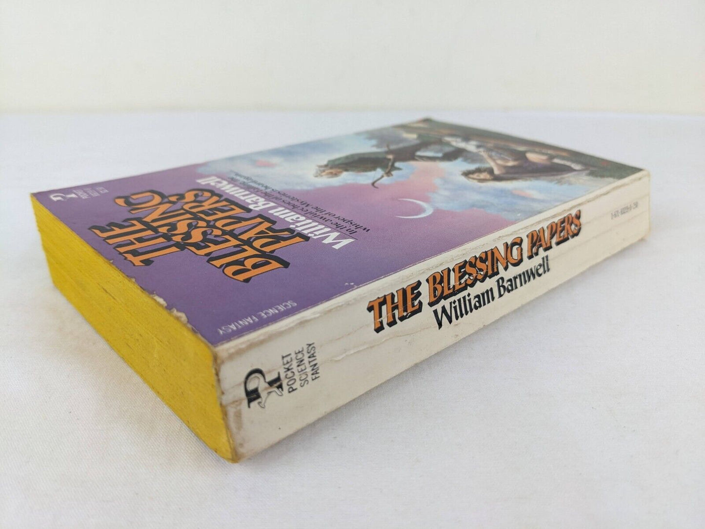 The blessing papers by William Barnwell 1980