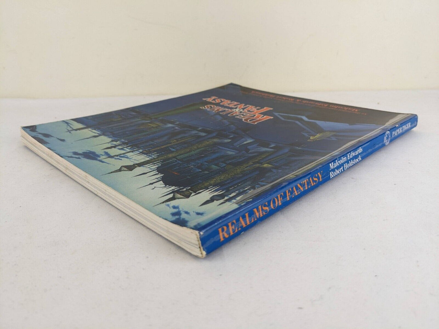 Realms of fantasy by Malcolm Edwards & Robert Holdstock 1983 Fantasy Art