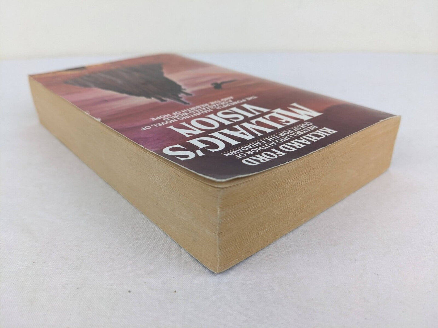 Melvaig's Vision by Richard Ford 1985