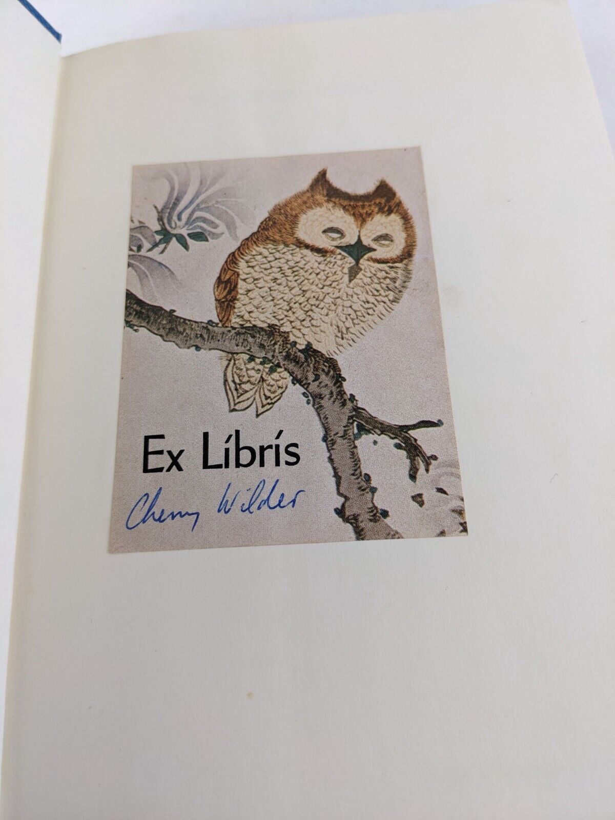 Dorothea dreams by Suzy McKee Charnas hardcover 1986