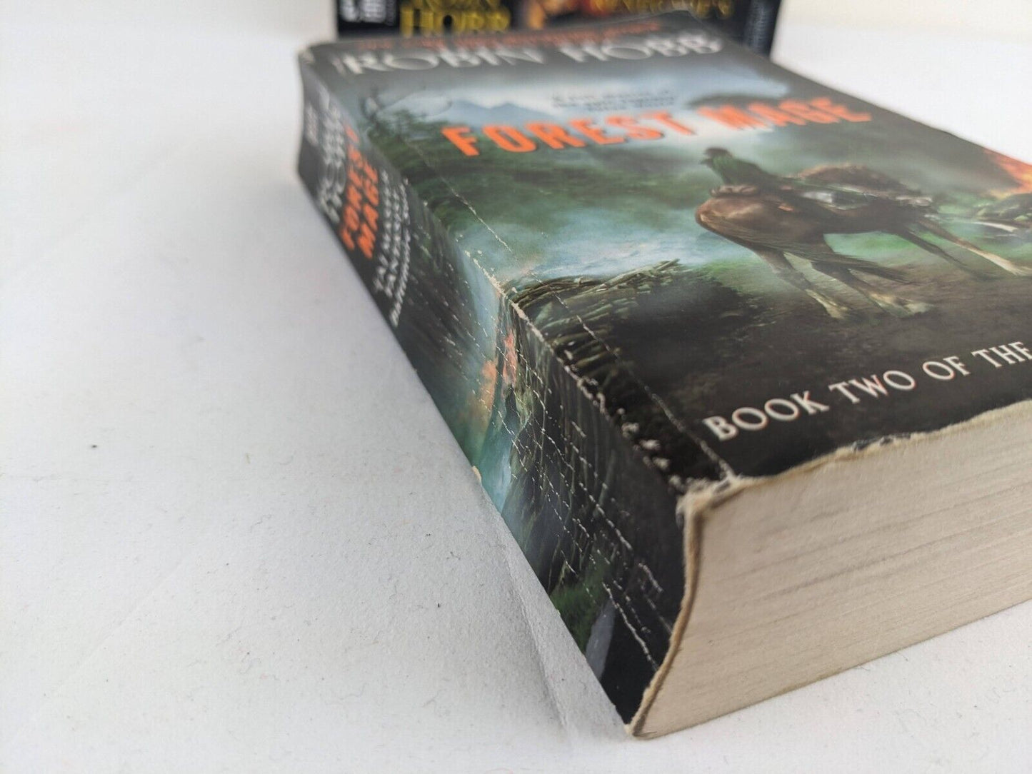 Soldier son trilogy by Robin Hobb 2006 Shaman's crossing Mage & Renegade's Magic