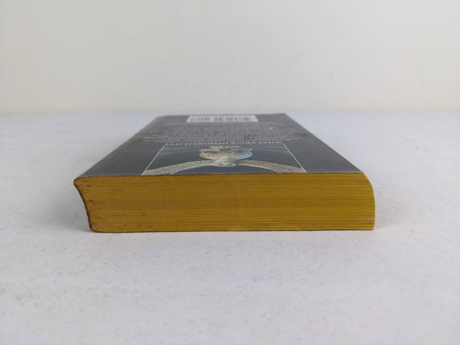 5504819