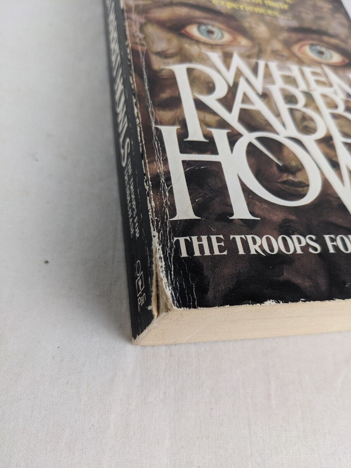 When rabbit howls: The troops for Truddi Chase 1988 Multiple Personalities