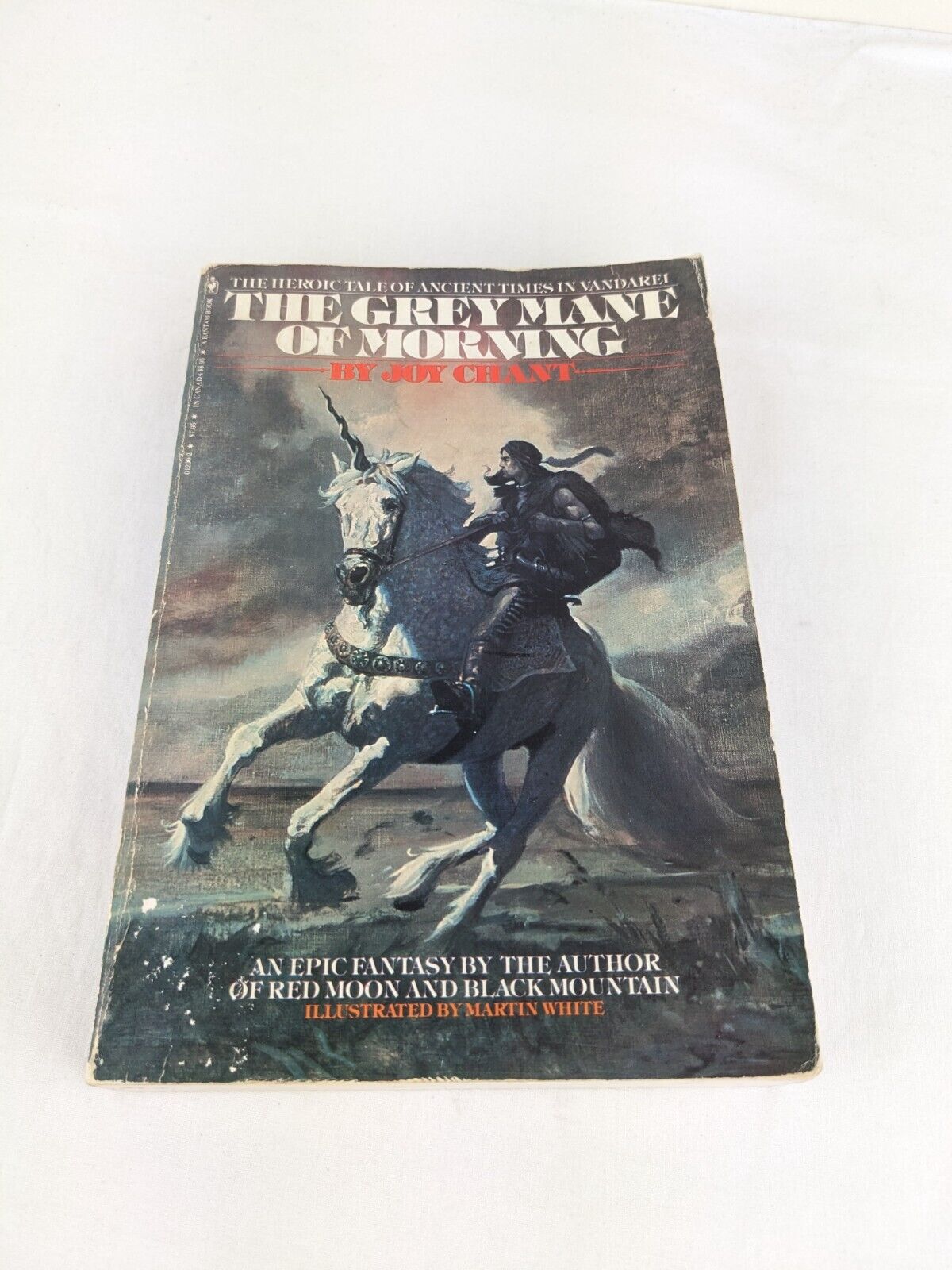 The grey mane of morning by Joy Chant Illustrated Martin White 1980 Vandarei