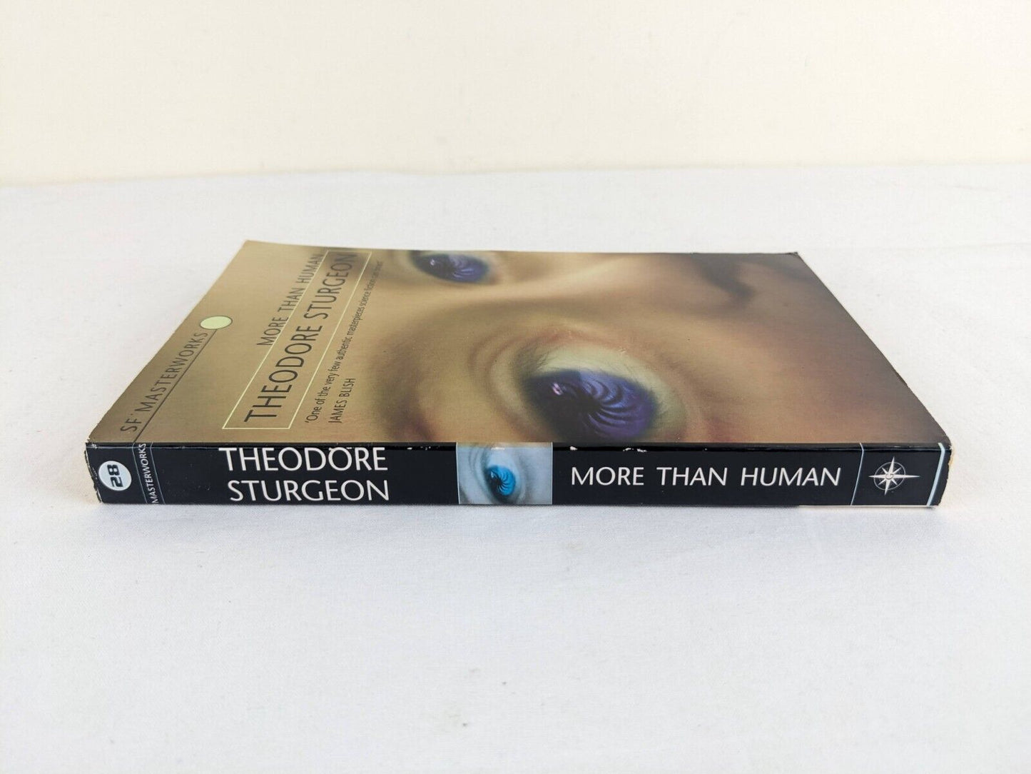 More than human by Theodore Sturgeon 2000 SF Masterworks