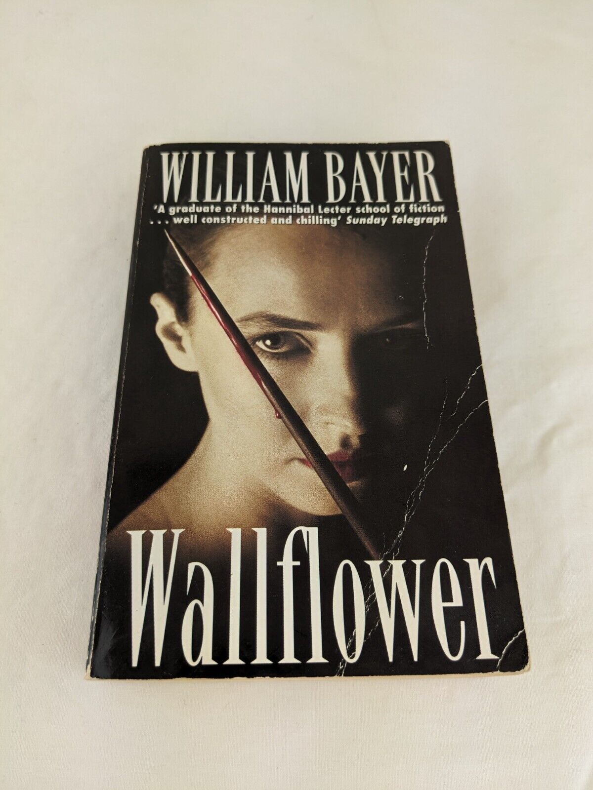 Wallflower by William Bayer 1993