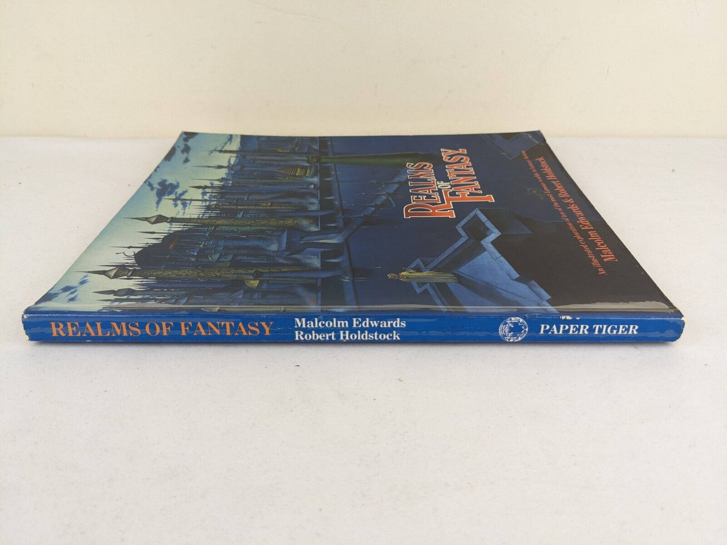 Realms of fantasy by Malcolm Edwards & Robert Holdstock 1983 Fantasy Art