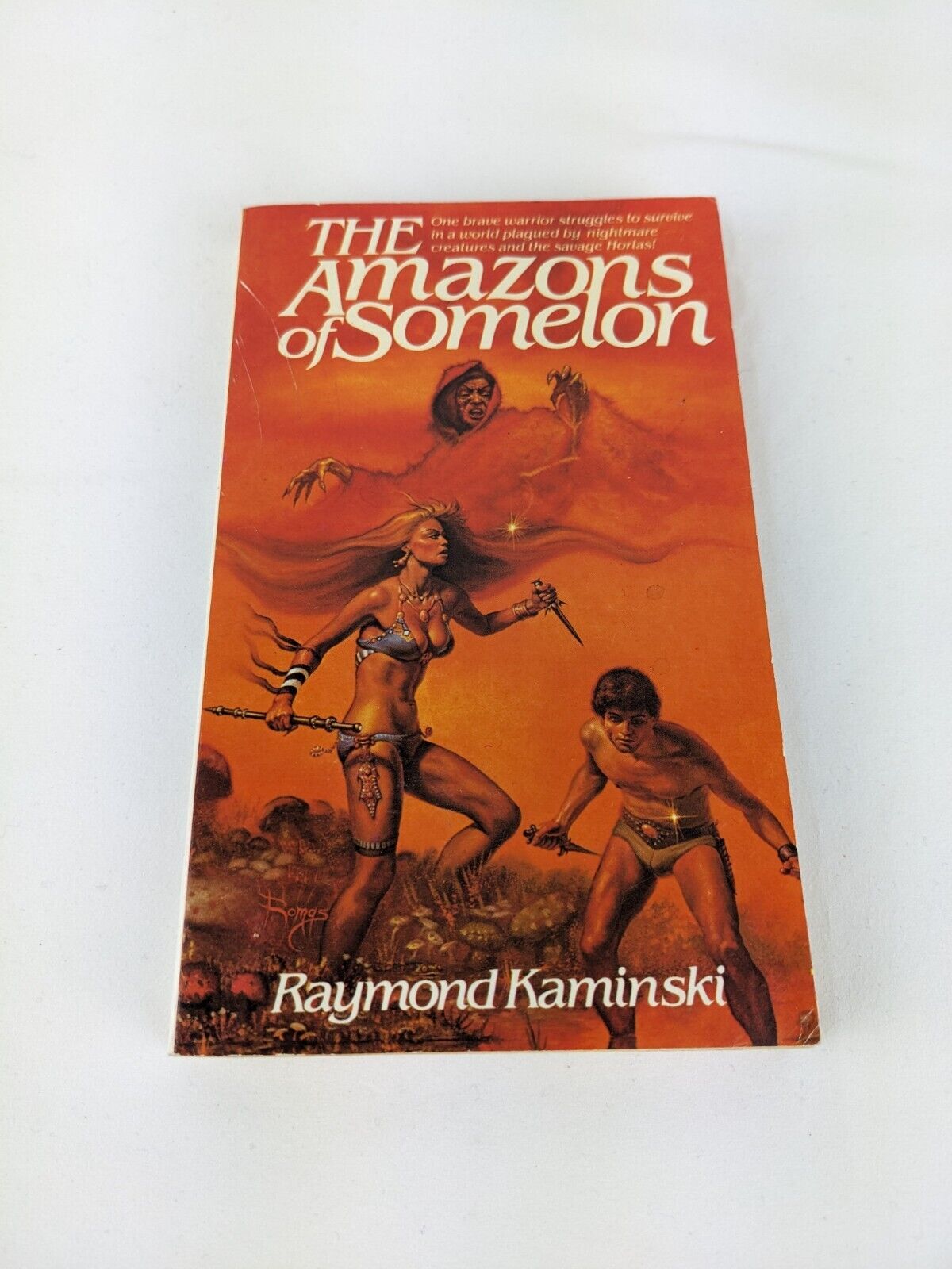 The amazons of Somelon by Raymond Kaminski 1983