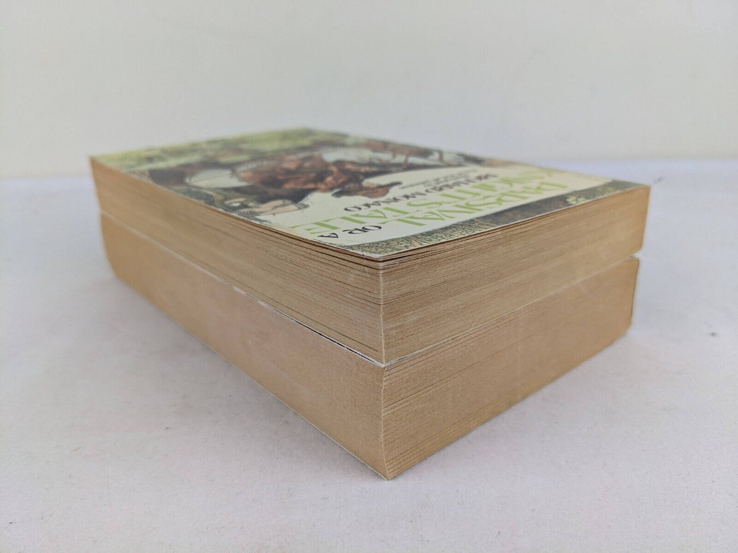 The Parsival Saga by Richard Monaco 1979 Knight's tale & Grail war