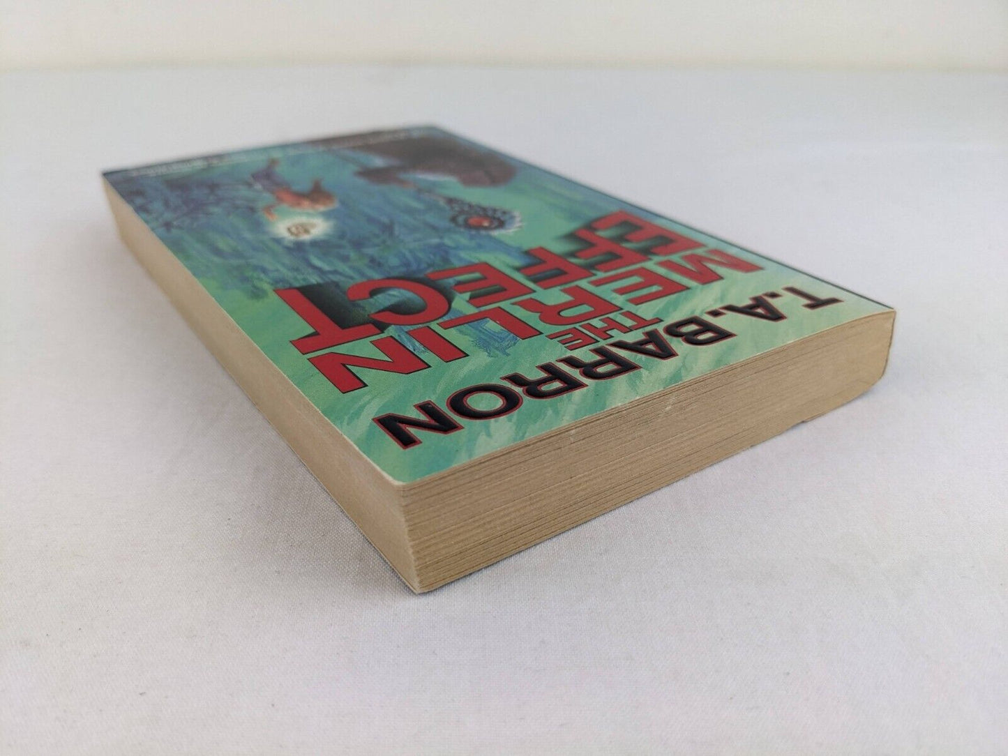 The Merlin effect by T.A. Barron 1996 - Adventures of Kate