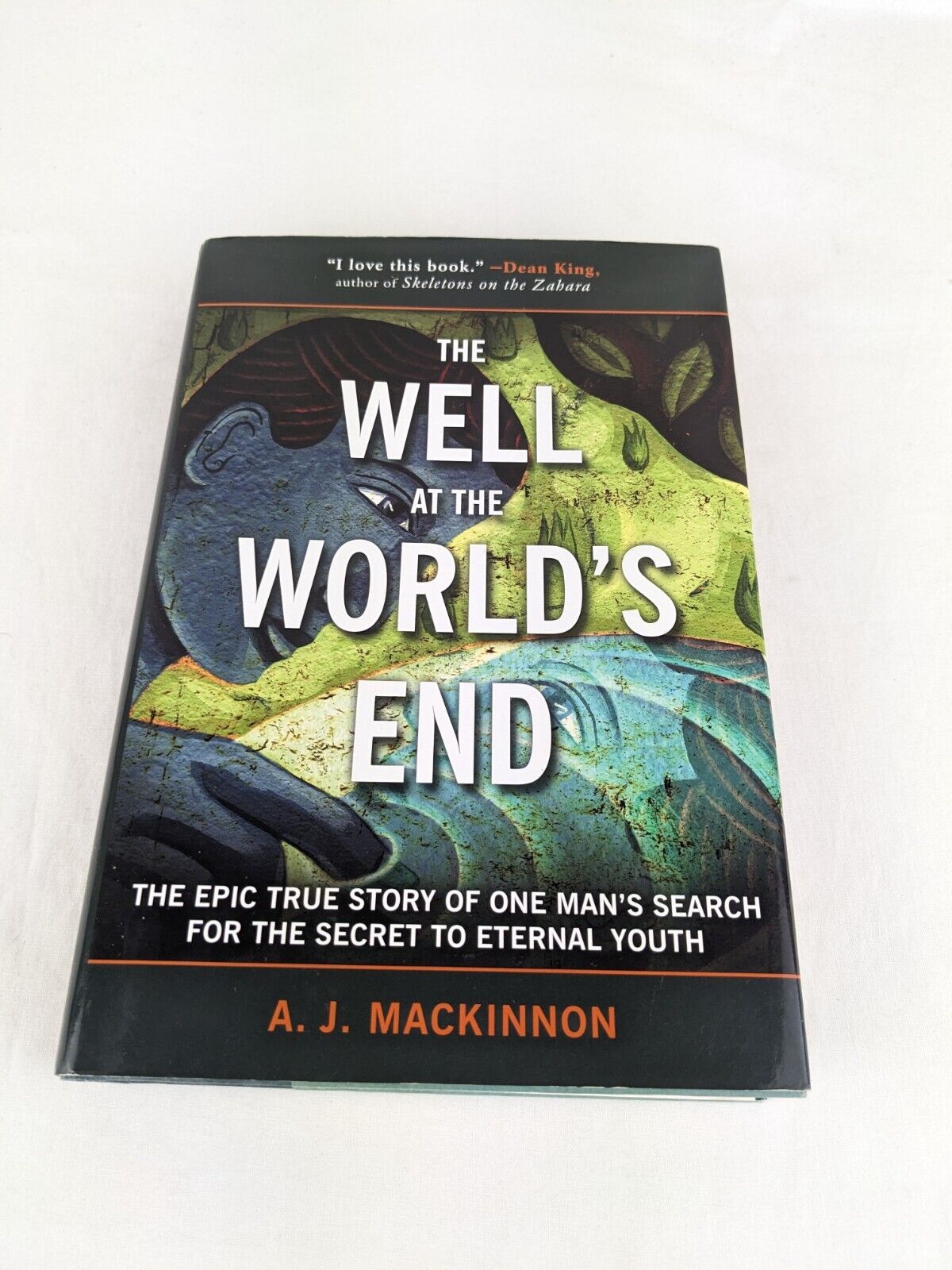 The well at the world's end by A.J. Mackinnon 2011 Hardcover