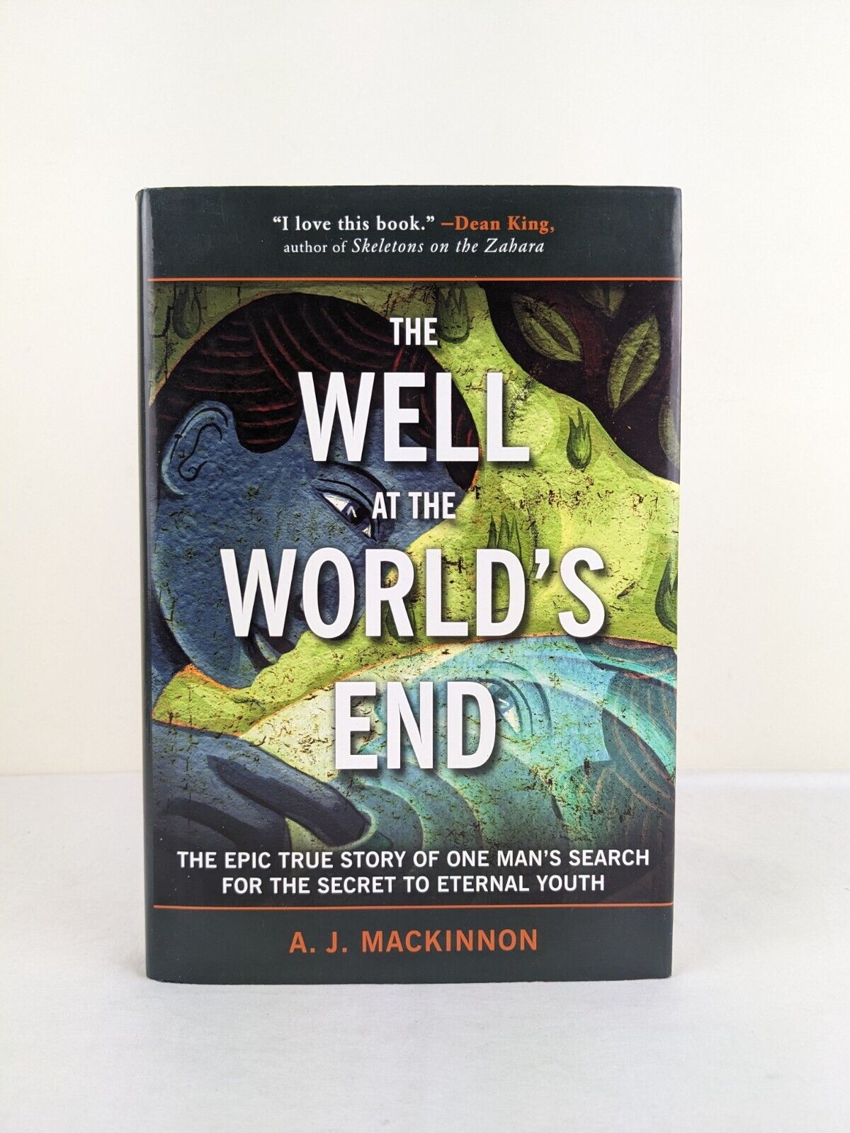 The well at the world's end by A.J. Mackinnon 2011 Hardcover