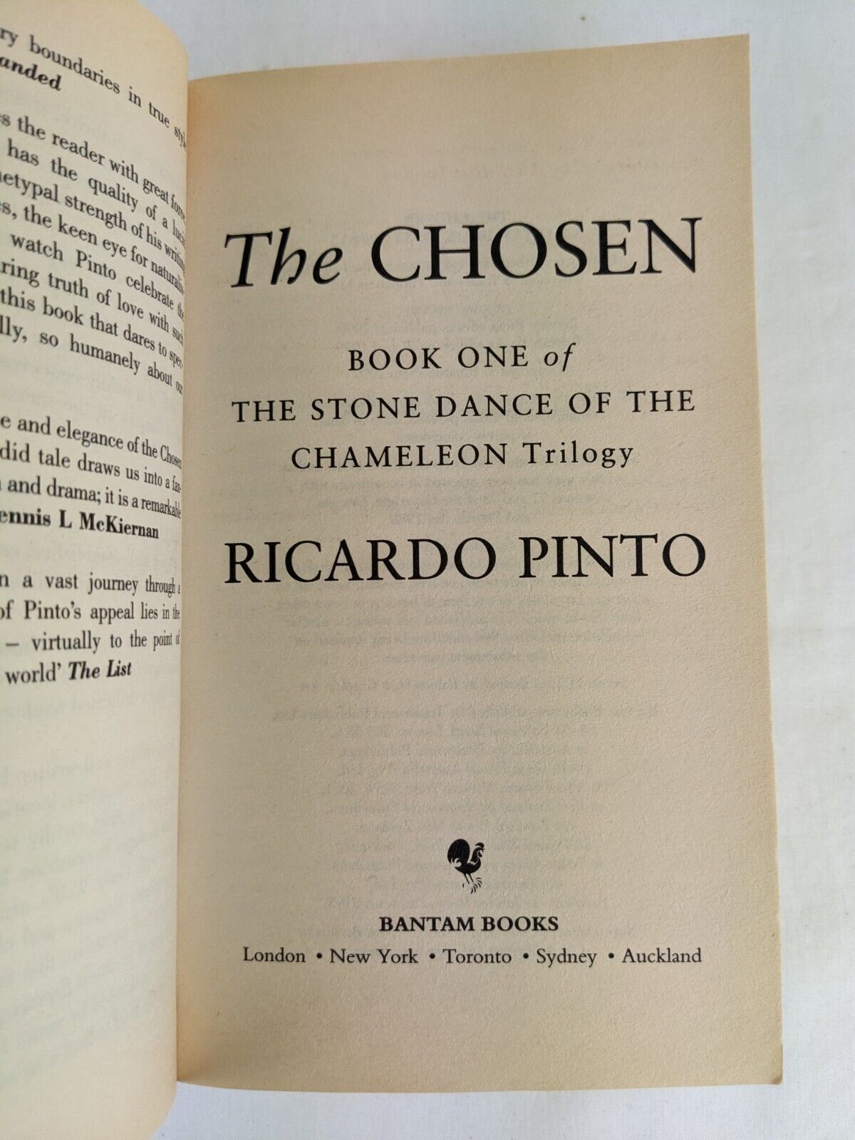 The chosen by Ricardo Pinto - The stone dance of the chameleon 1999