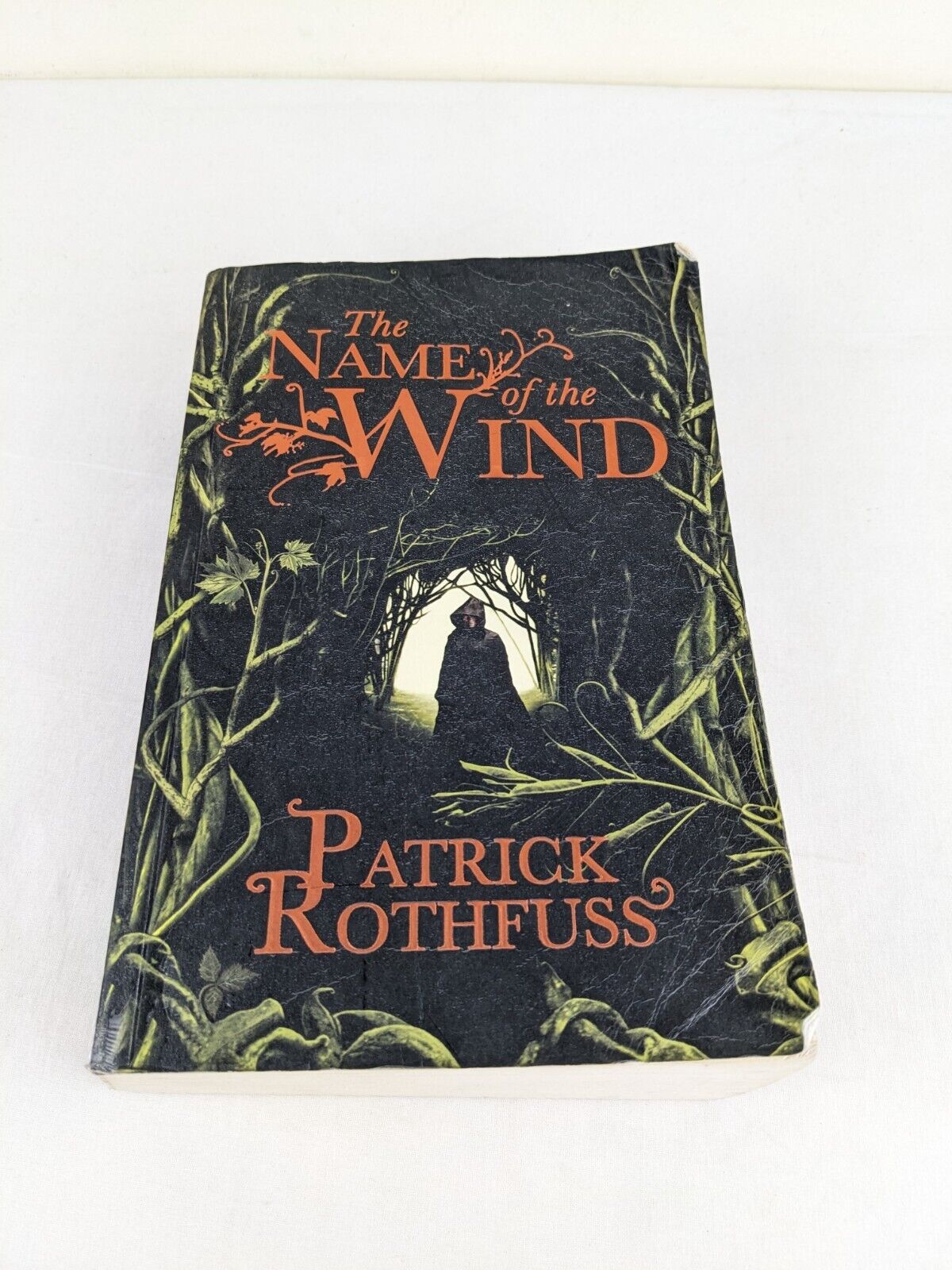 The name of the wind by Patrick Rothfuss 2007 Kingkiller chronicle