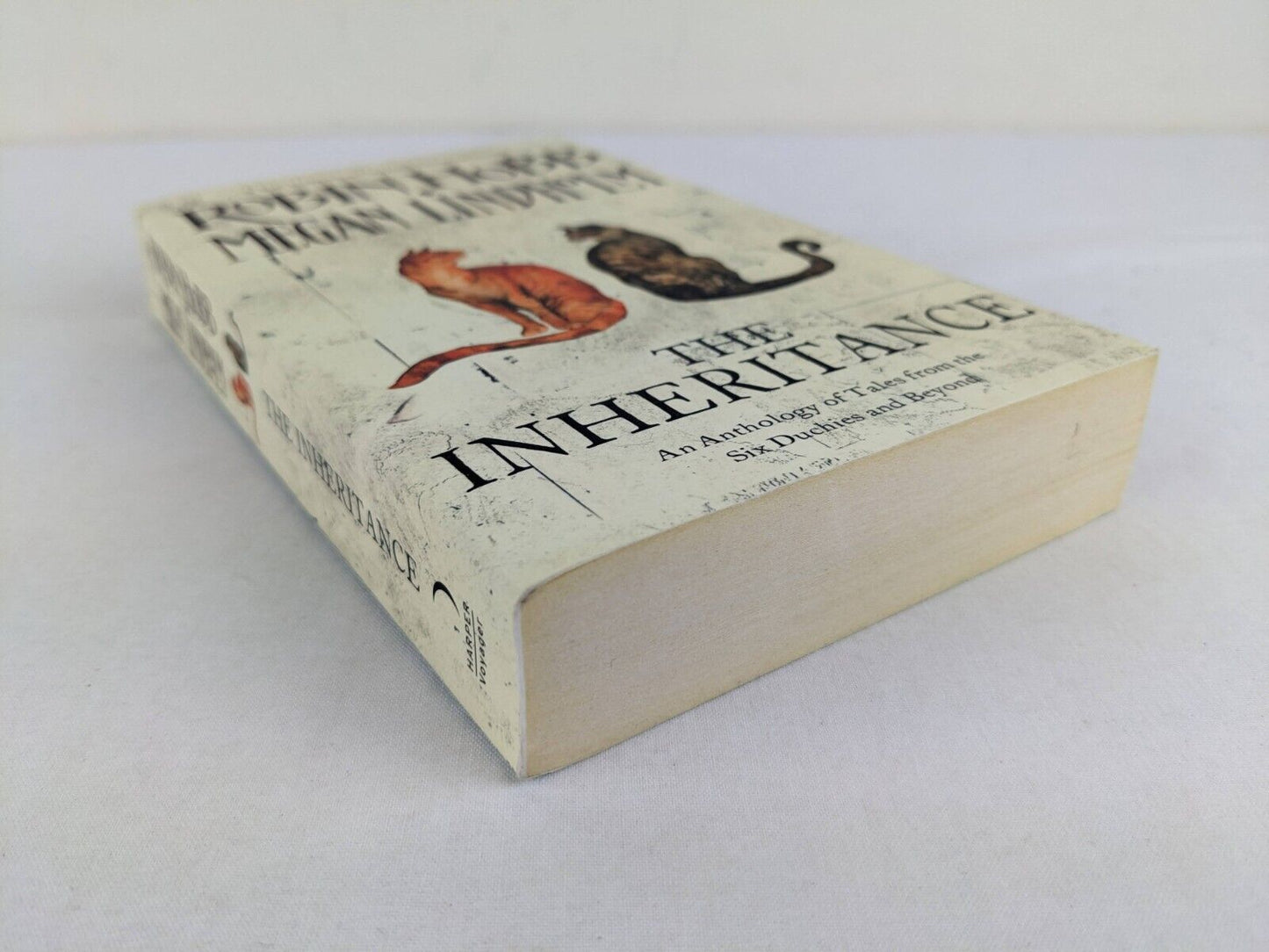 The inheritance by Megan Lindholm & Robin Hobb 2011