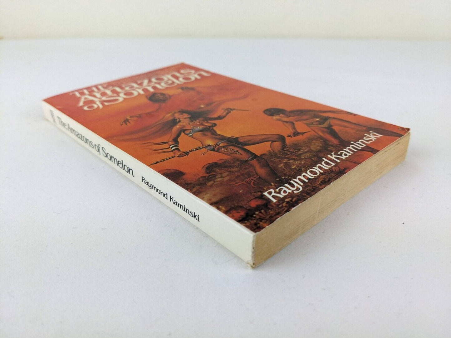 The amazons of Somelon by Raymond Kaminski 1983