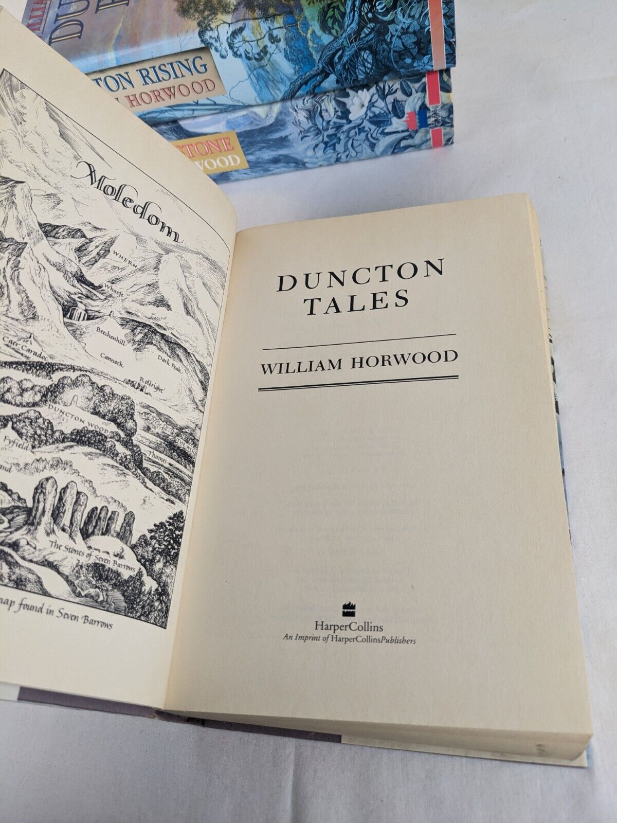 Duncton Tales, Rising, Stone by William Horwood 1991 Hardcover Book of Silence