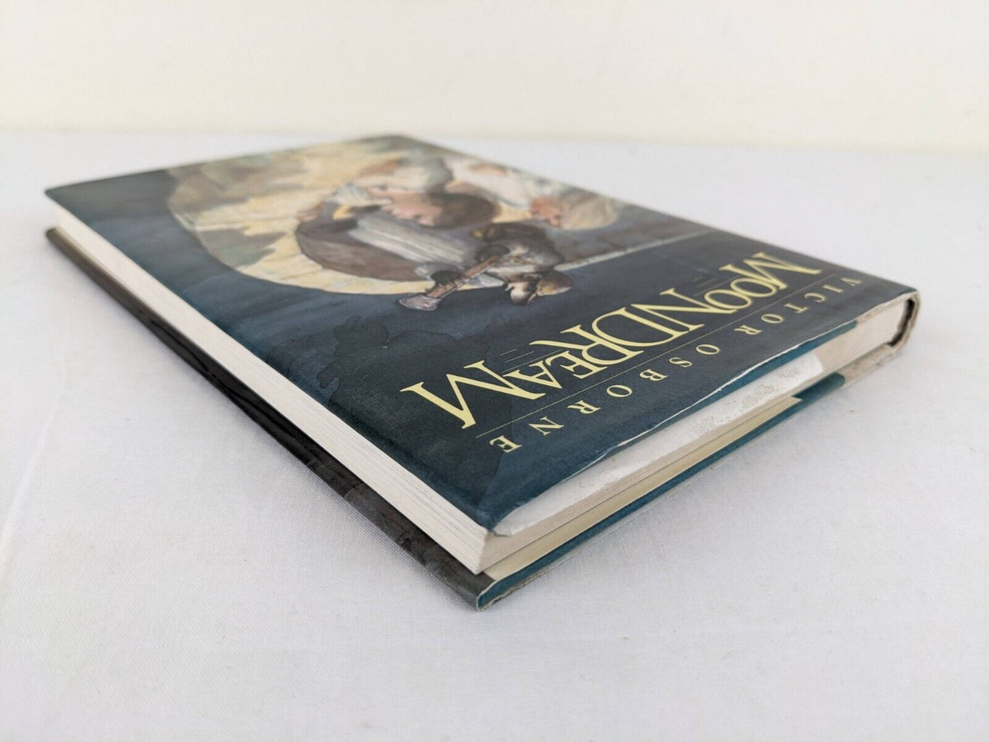 Moondream by Victor Osborne First edition hardcover 1989