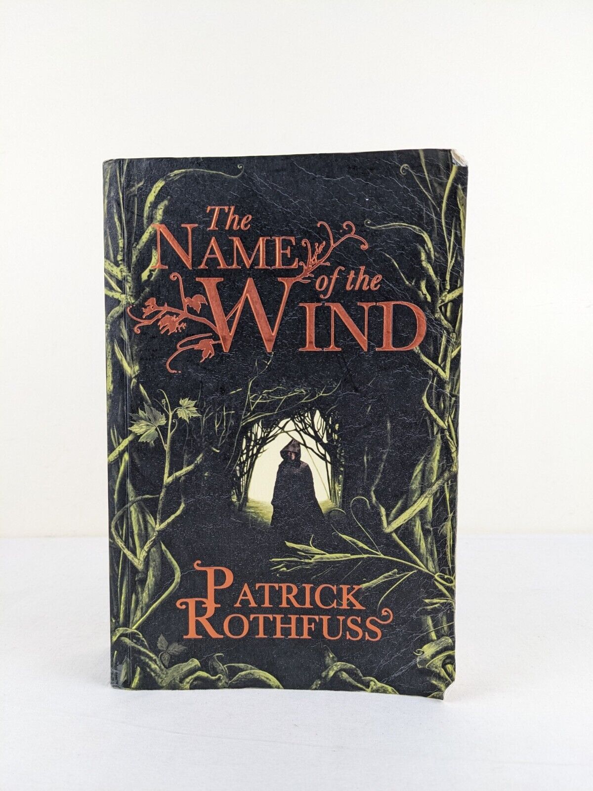 The name of the wind by Patrick Rothfuss 2007 Kingkiller chronicle