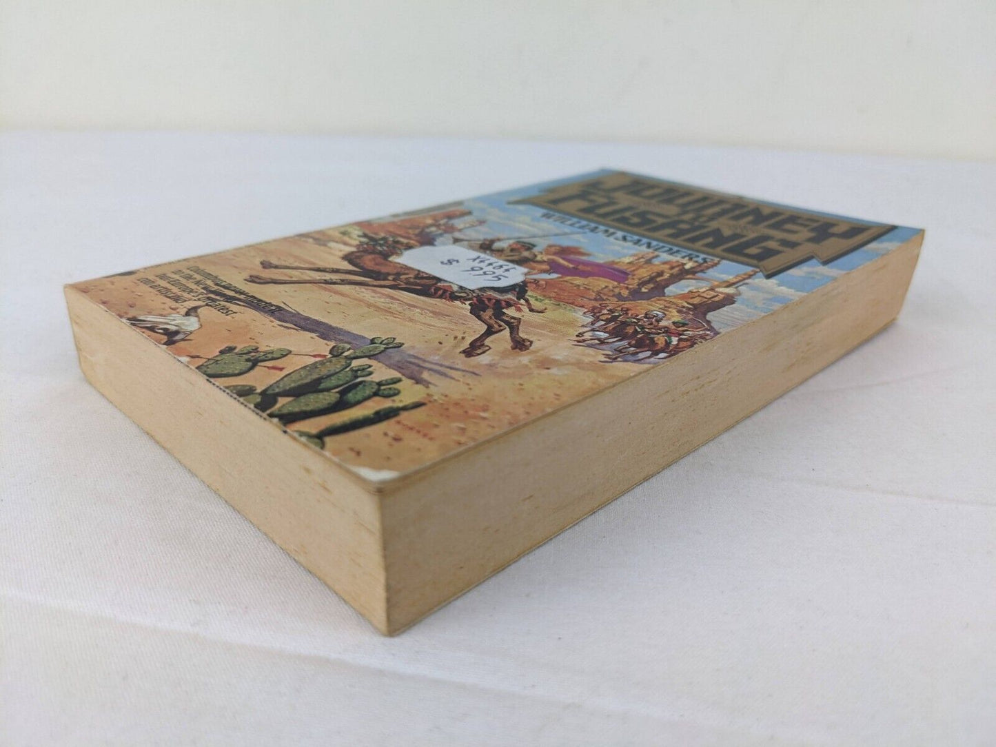Journey to Fusang by William Sanders 1988