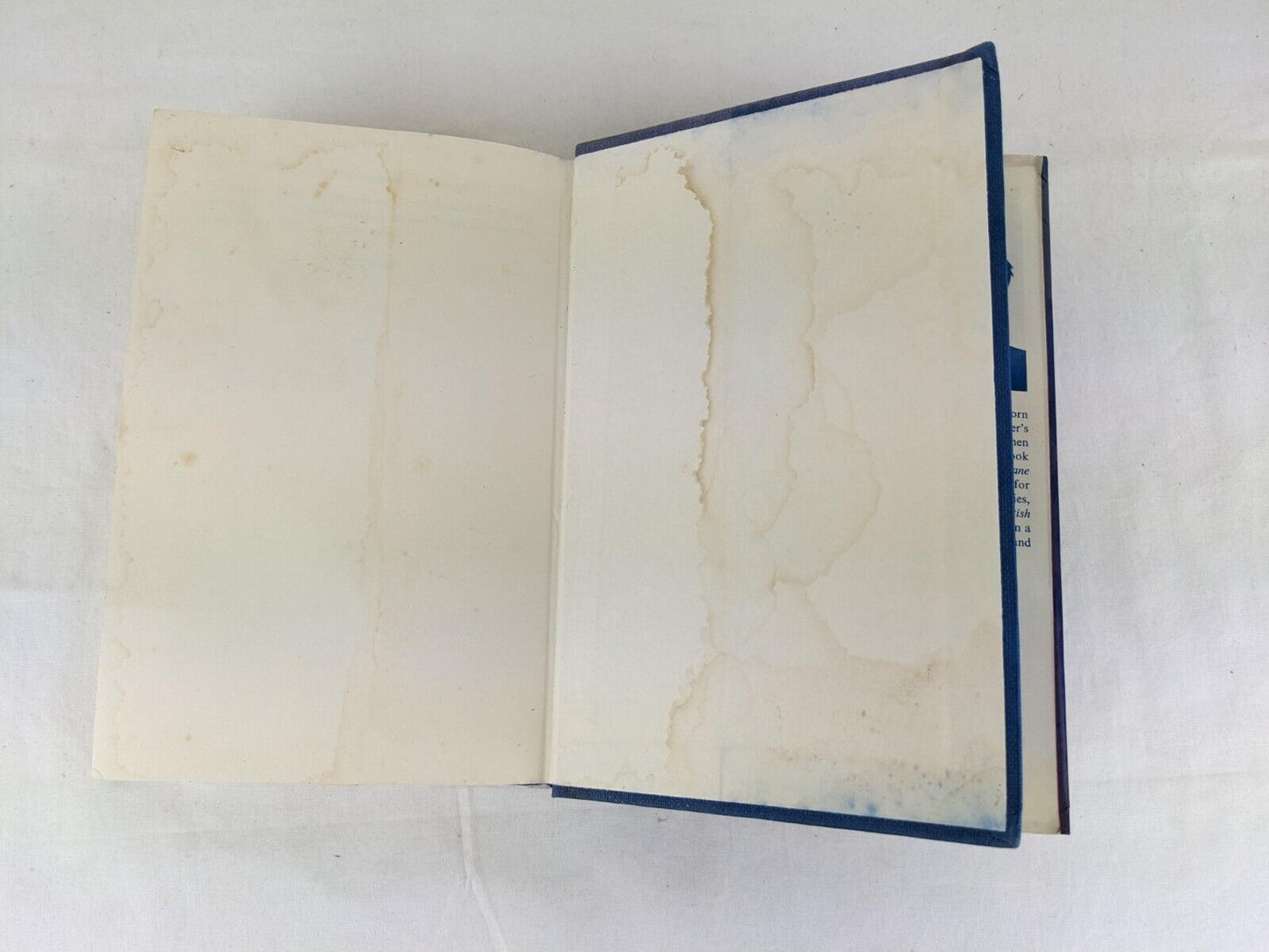 Jane's adventures in a balloon by Jonathan Gathorne-Hardy hardcover 1975