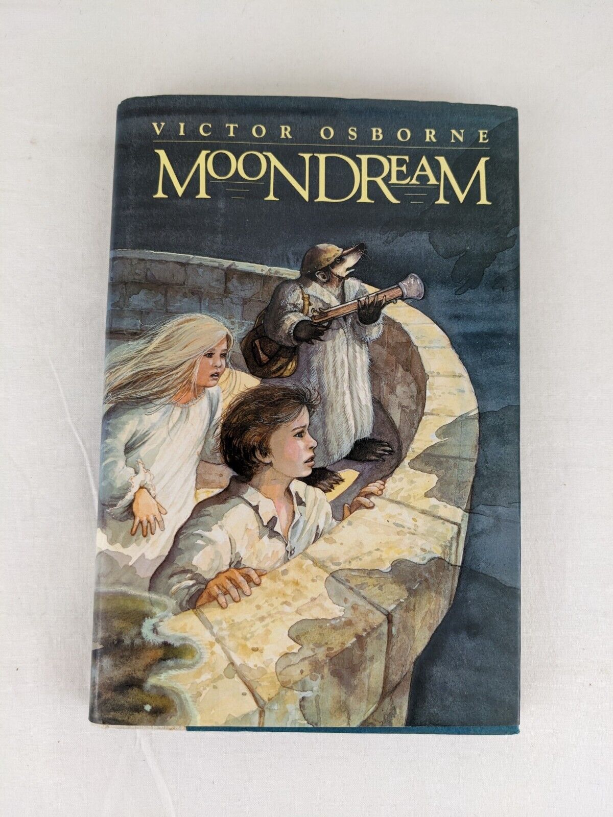 Moondream by Victor Osborne First edition hardcover 1989