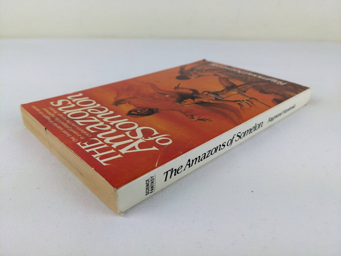 The amazons of Somelon by Raymond Kaminski 1983