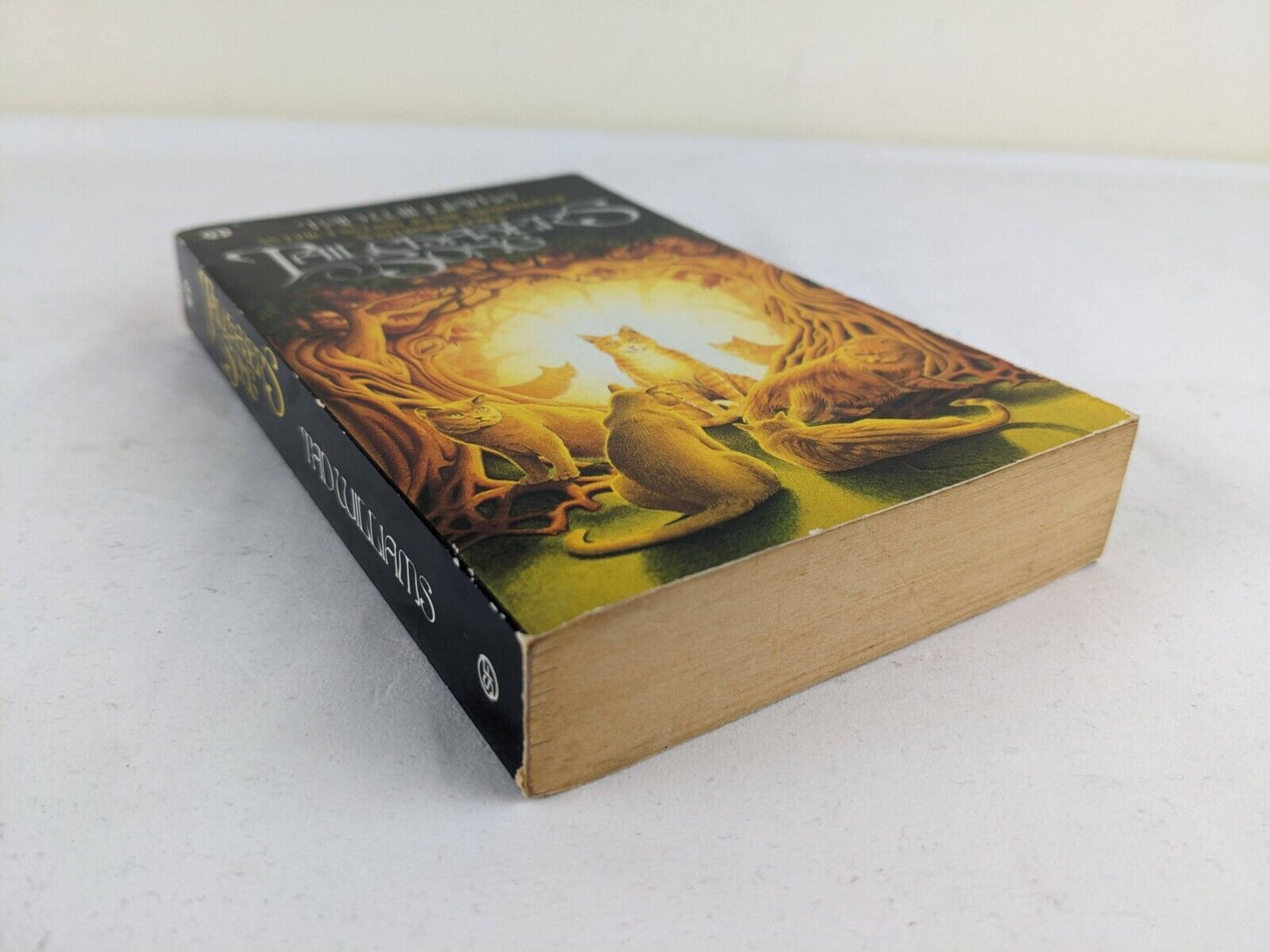 Tailchaser's song by Tad Williams 1986 Signed by Author