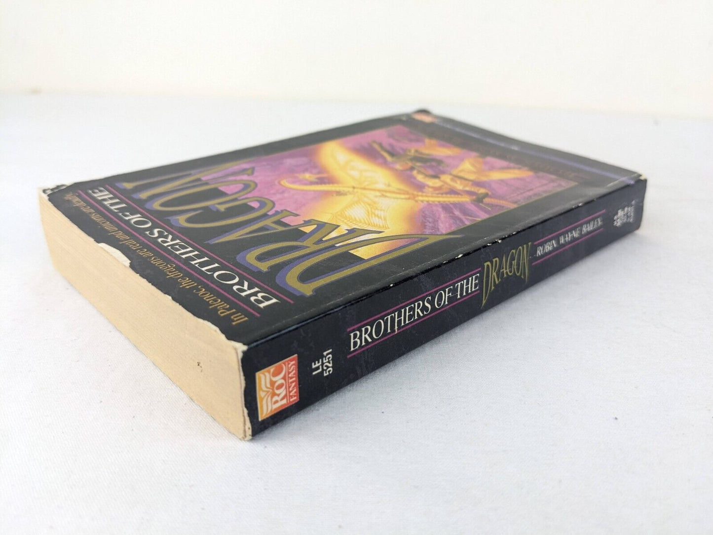 brothers of the dragon by Robin Wayne Bailey 1993