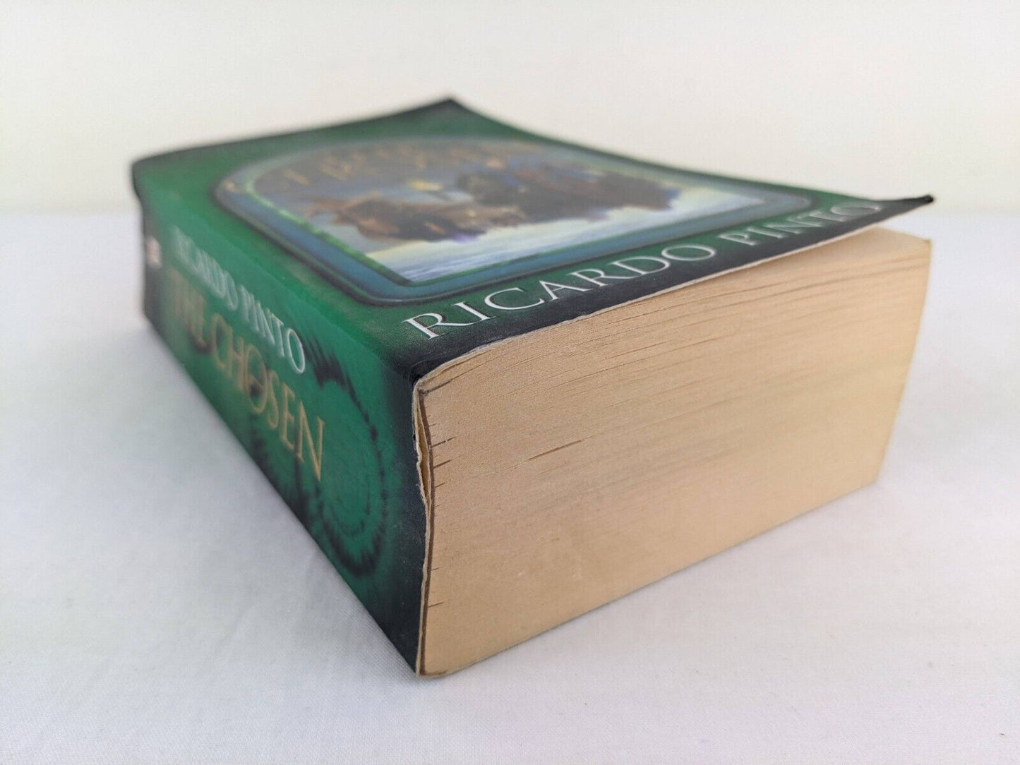 The chosen by Ricardo Pinto - The stone dance of the chameleon 1999