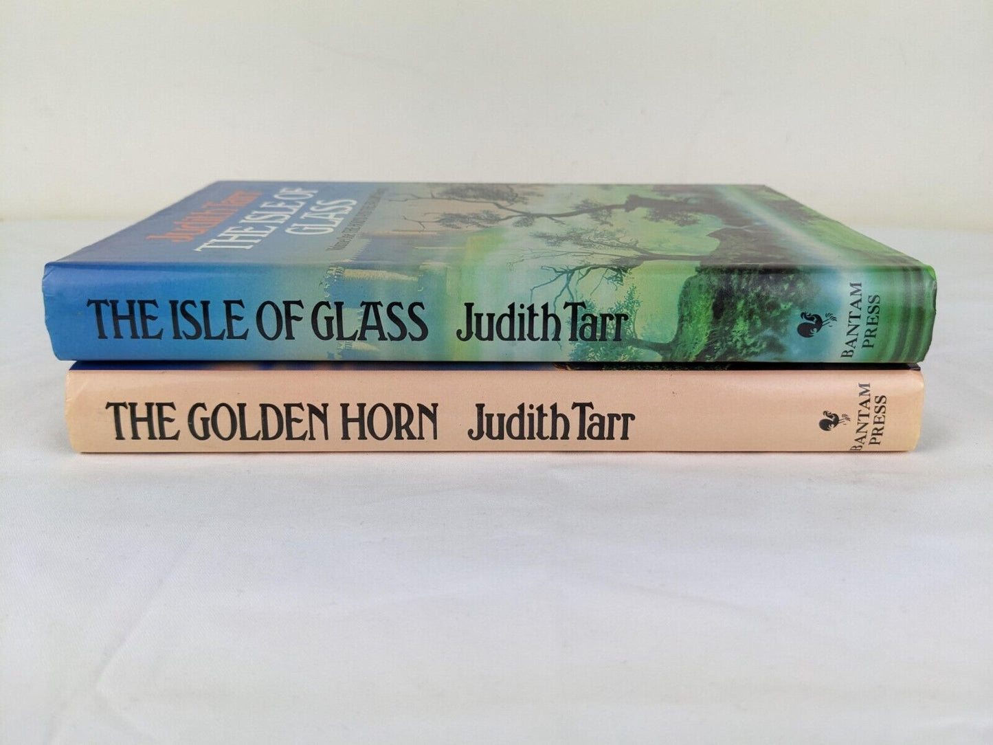 The hound and the falcon by Judith Tarr The isle of glass The golden horn 1986
