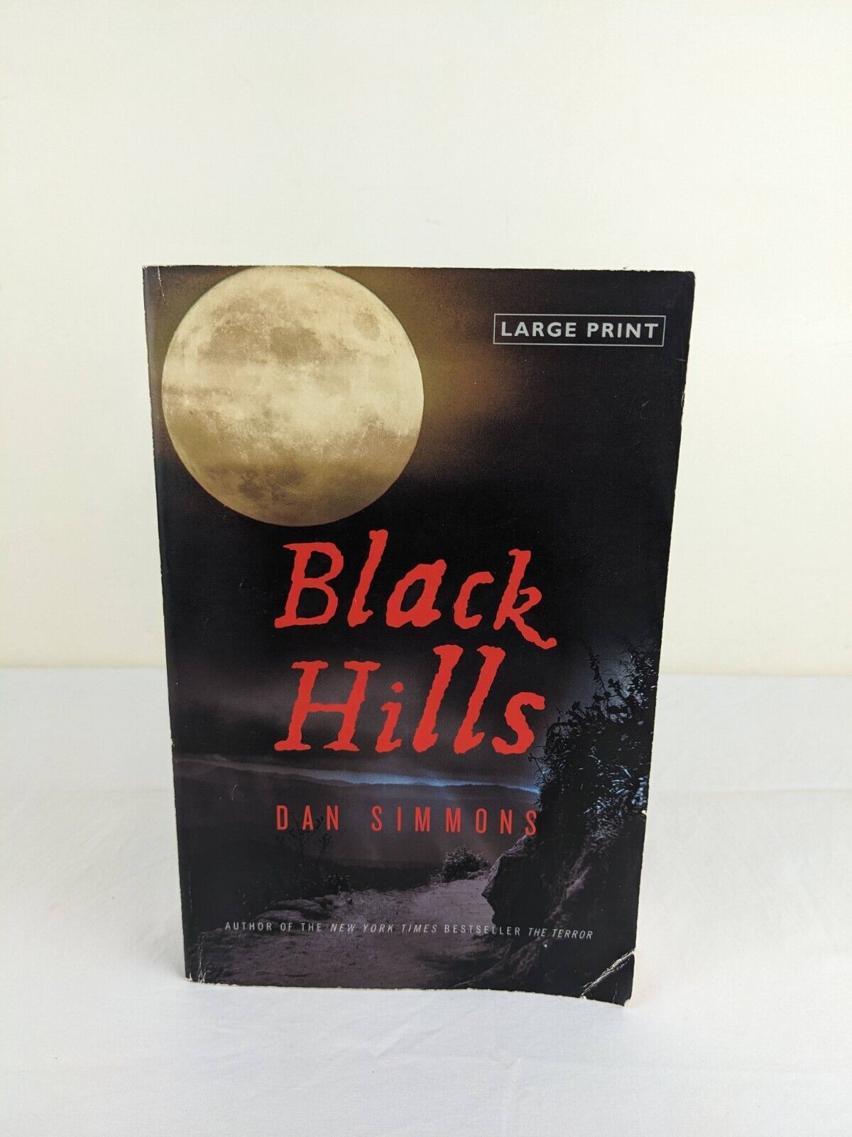 Black Hills by Dan Simmons 2010 First Large Print Edition